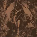 CONVERGE : NAPALM DEATH / SPLIT (7"/YELLOW VINYL) 