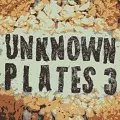 VA (TASTY RECORDS) / UNKNOWN PLATES 3