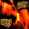 REIGNING SOUND / レイニングサウンド / TOO MUCH GUITAR