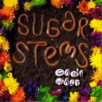 CAN'T WAIT/SUGAR STEMS/シュガー・ステムズ｜PUNK｜ディスクユニオン