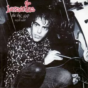 BARRACUDAS / バラクーダス / THE BIG GAP (1978-1981)