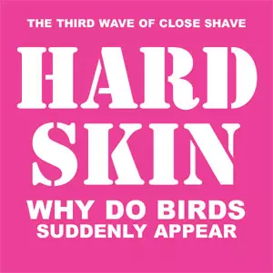 HARD SKIN / ハードスキン / WHY DO BIRDS SUDDENLY APPEAR
