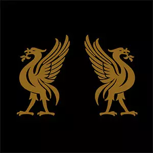 JOEY CAPE:JON SNODGRASS / LIVERBIRDS (レコード)