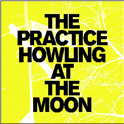 the PRACTICE / Howling at the Moon (7")