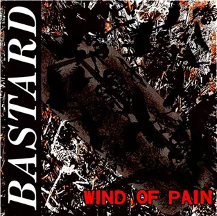 けいとん BASTARD LP wind of pain レコード WIND OF PAIN (12
