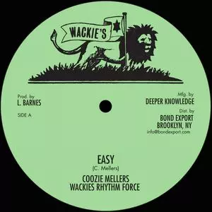 NYに本拠地をかまえたWACKIESの極上音源をDIGIKILLER RECORDSが7インチ