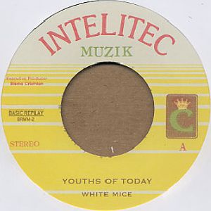 WHITE MICE / ホワイト・マイス / YOUTHS OF TODAY