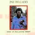 JUNIOR DELGADO / ジュニア・デルガド / TASTES OF YOUNG HEART