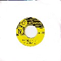 LEE PERRY & THE SOULETTES / PLEASE DON'T GO