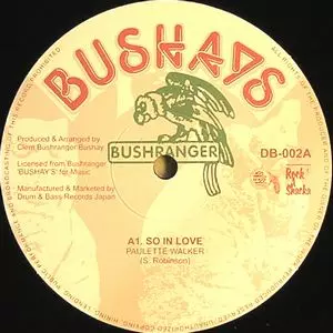 SO IN LOVE /PAULETTE WALKER/極上のUKラバーズとB面はマイケル