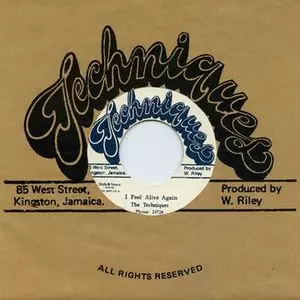 THE TECHNIQUES / CLASSICS LPアルバム THE TECHNIQUES / CLASSICS LPアルバム