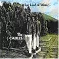 CABLES / ケイブルズ / WHAT KIND OF WORLD
