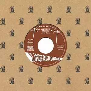 JUNIOR BYLES / ジュニア・バイルズ / ANOTHER MOSES