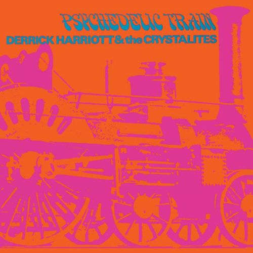 DERRICK HARRIOTT & THE CRYSTALITES / デリック・ハリオット・アンド・ザ・クリスタライツ / PSYCHEDELIC TRAIN (EXPANDED EDITION)