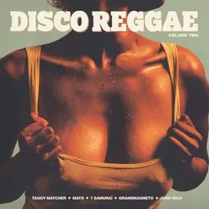 V.A. / DISCO REGGAE VOL.2