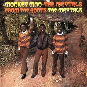 MAYTALS / メイタルズ / MONKEY MAN / FROM THE ROOTS