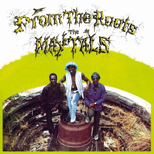 MAYTALS / メイタルズ / FROM THE ROOTS (COLOURED VINYL)