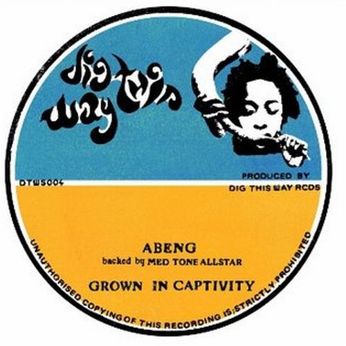 ABENG BACKED BY MED TONE ALLSTAR / GROWN IN CAPTIVITY