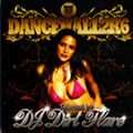DJ DIRT FLARE / DANCEHALL 2K6 / ダンスホール・2K6