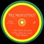 BIG MOUNTAIN / ビッグ・マウンテン商品一覧｜JAZZ｜ディスク
