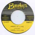 ANSEL COLLINS / NIGHT OF LOVE