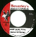 TOOTS & THE MAYTALS / トゥーツ・アンド・ザ・メイタルズ / DEEP IN MY SOUL