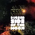 EASY STAR ALL-STARS / イージー・スター・オール・スターズ / DUBBER SIDE OF THE MOON