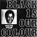 WAYNE WADE / ウェイン・ウェイド / BLACK IS OUR COLOUR