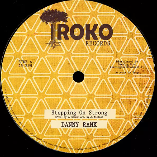 DANNY RANK / STEPPING ON STRONG