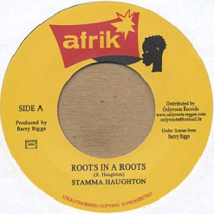 STAMMA HAUGHTON / ROOTS IN A ROOTS