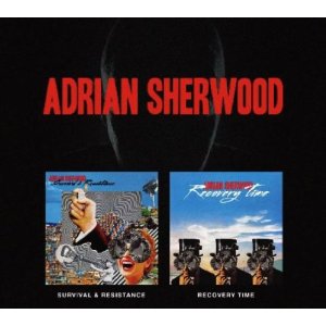ADRIAN SHERWOOD / エイドリアン・シャーウッド / サバイバル & レジスタンス + リカバリー・タイム (2CD)