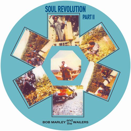 BOB MARLEY (& THE WAILERS) / ボブ・マーリー(・アンド・ザ・ウエイラーズ) / SOUL REVOLUTION PART 2 (PICTURE DISC)