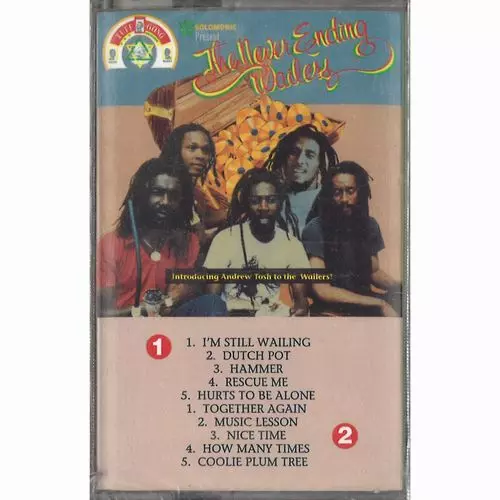 WAILERS (REGGAE) / ウェイラーズ (REGGAE) / THE NEVER ENDING WAILERS