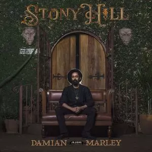 DAMIAN MARLEY レコード STONY HILL/DAMIAN JR. GONG MARLEY/2017年世界的ヒットを遂げた