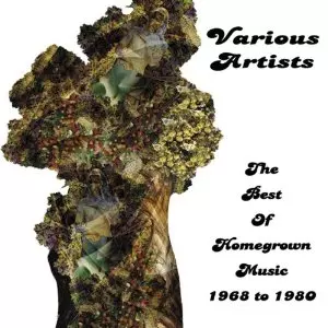 V.A. (PSYCHE) / BEST OF HOMEGROWN MUSIC 1968 TO 1980