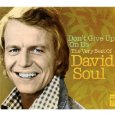 DAVID SOUL / デヴィッド・ソウル / DON'T GIVE UP ON US