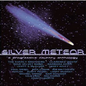 V.A. (SOUTHERN/SWAMP/COUNTRY ROCK) / SILVER METEOR: A PROGRESSIVE COUNTRY ANTHOLOGY
