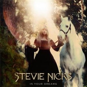 STEVIE NICKS / スティーヴィー・ニックス / IN YOUR DREAM