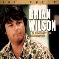 BRIAN WILSON / ブライアン・ウィルソン / THE LOWDOWN
