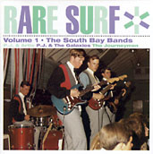 V.A. (ROCK'N'ROLL/ROCKABILLY) / RARE SURF VOL. 1 - THE SOUTH BAY BANDS