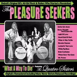 PLEASURE SEEKERS / プレジャーシーカーズ商品一覧｜ディスクユニオン