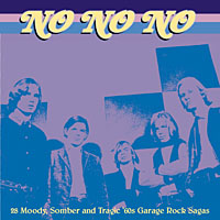 V.A. (GARAGE) / "NO NO NO - 28 MOODY, SOMBER AND TRAGIC '60S GARAGE ROCK SAGAS"