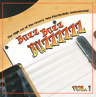 V.A. (BUZZ BUZZ BUZZZZZZ) / BUZZ BUZZ BUZZZZZZ - VOL. 1 - THE HIGH ART OF THE GROOVY '60S PSYCHEDELIC INSTRUMENTAL