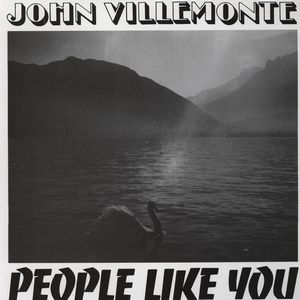 JOHN VILLEMONTE / ジョン・ヴィレモンテ / PEOPLE LIKE YOU (LP)