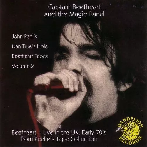 NAN TRUES HOLE TAPES VOLUME 2 - LIVE ENGLAND SPRING 1972/CAPTAIN