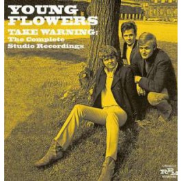 YOUNG FLOWERS / ヤング・フラワーズ / TAKE WARNING - THE COMPLETE STUDIO RECORDINGS