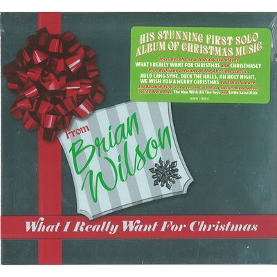 BRIAN WILSON / ブライアン・ウィルソン / WHAT I REALLY WANT FOR CHRISTMAS