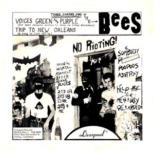 BEES (GARAGE) / VOICES GREEN & PURPLE / TRIP TO NEW ORLEANS