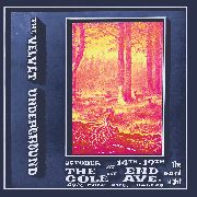 VELVET UNDERGROUND (& NICO) / ヴェルヴェット・アンダーグラウンド & ニコ / LIVE AT THE END OF COLE AVE - 2ND NIGHT (CD)