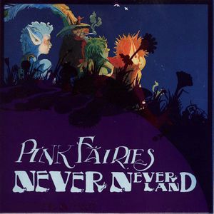 PINK FAIRIES / ピンク・フェアリーズ / NEVER NEVERLAND (LP)